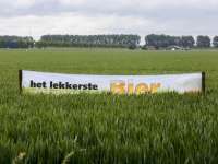 Het lekkerste bier van nederlandse bodem vernieuwde Biesbosch Dordrecht