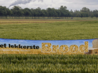 Het lekkerste brood van nederlandse bodem vernieuwde Biesbosch Dordrecht