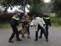 20151410-Hondenbrigade-oefent-op-carpoolplaats-naast-A58-Heerle-Tstolk-001