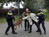 20151410-Hondenbrigade-oefent-op-carpoolplaats-naast-A58-Heerle-Tstolk-002