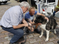 Hondje gered uit water