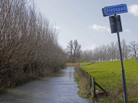 12032020-Hoogwater-Biesbosch-Dordrecht-Tstolk-001