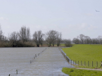 Hoogwater Biesbosch Dordrecht