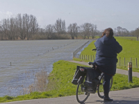 Hoogwater Biesbosch Dordrecht