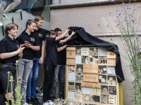 Insectenhotel voor Onderwijsmuseum  Dordrecht