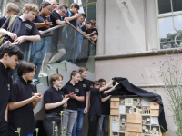 Insectenhotel voor Onderwijsmuseum  Dordrecht