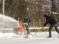 De Winterkoning is er al helemaal klaar voor