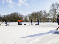 De Winterkoning is er al helemaal klaar voor