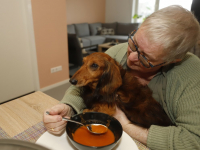 Soep en knuffelen met honden Louterbloemen Dordrecht