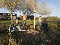 Nationale Boomplantdag Johanna naber erf Dordrecht