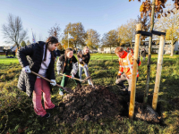 Nationale Boomplantdag Johanna naber erf Dordrecht