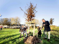 Nationale Boomplantdag Johanna naber erf Dordrecht