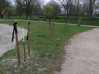 Jonge boompjes gesloopt in Sterrenburgpark Dordrecht