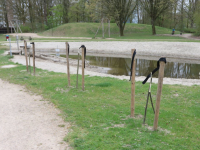 Jonge boompjes gesloopt in Sterrenburgpark Dordrecht