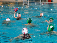 Waterpolotoernooi voor de allerjongsten Sportboulevard Dordrecht