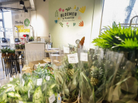 Jumbo foodmarkt opent morgen haar deuren Winkelcentrum Sterrenburg Dordrecht