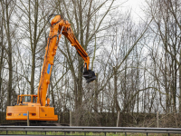 Kap en snoei langs A16 bij Moerdijkbrug Dordrecht