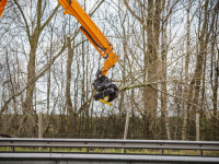 Kap en snoei langs A16 bij Moerdijkbrug Dordrecht