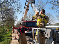 Kat gered door brandweer