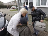 201702602 Kat na 24 uur gered uit bovenwoning Ruys de Beerenbrouckweg Dordrecht Tstolk 001