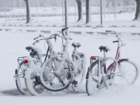 20142712-Dordrecht-onder-laag-sneeuw-Leerparkpromenade-Dordrecht-Tstolk_resize