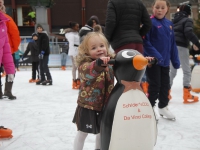 20141312-Grootste-kerstmarkt-van-Nederland-Dordrecht-Tstolk-005_resize