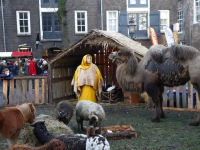 20141412-Kerstmarkt-Dordrecht-met-250.000-bezoekers-toch-een-groot-succes-Dordrecht-Tstolk_resize
