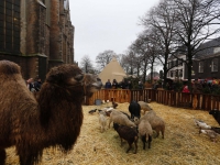 20151112-Dordtse-Kerstmarkt-gestart-met-regen-Dordrecht-Tstolk-003