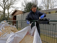 20172601 Kinderboerderij Weizigt Dordrecht Tstolk 001