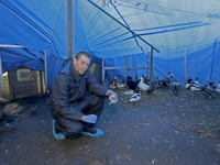 20172601 Kinderboerderij Weizigt Dordrecht Tstolk