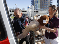 50 berenknuffels voor kinderafdeling Albert Schweitzer Ziekenhuis Dordrecht