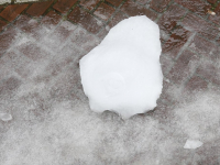 16022021-Koning-Winter-laat-sporen-na-Dordrecht-Tstolk