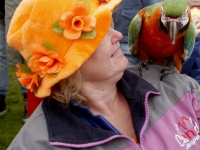 20162704 Koningsdag 2016 Oranjemarkt Sporting Delta Dordrecht Tstolk