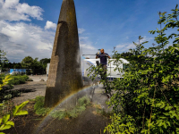 Piemelpark krijgt opknapbuurt Van der Steenhovenplein Dordrecht