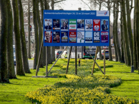 Narcissen bloeien op aan de Oranjelaan in Dordrecht