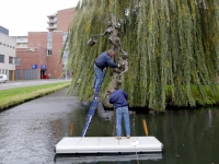 20150911-Levensboom-in-de-was-gezet-Weteringsingel-papendrecht-Tstolk-002