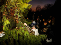 2600 lichtjes ontstoken tijdens gedenken bij lichtboom Essenhof Dordrecht