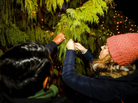 2600 lichtjes ontstoken tijdens gedenken bij lichtboom Essenhof Dordrecht