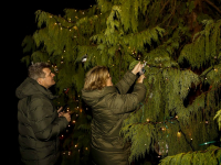 2600 lichtjes ontstoken tijdens gedenken bij lichtboom Essenhof Dordrecht