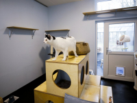 Dierentehuis Louterbloemen nieuwbouw Dordrecht