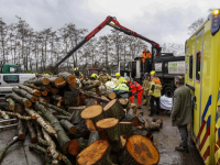 Man bekneld onder boomstammen