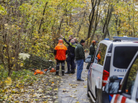 Man ernstig gewond bij oefening bomen zagen De Bekramming Dordrecht