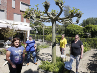 Medewerkers van het Parkhoff zorgen voor een mooie tuin!