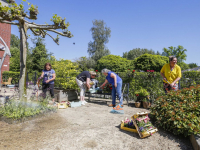 Medewerkers van het Parkhoff zorgen voor een mooie tuin!