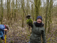 18022022-Red-jonge-bomen-uit-Amstelwijck-Dordrecht-Stolkfotografie-001