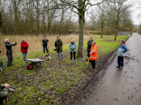 Red jonge bomen uit Amstelwijck Dordrecht