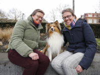 Dames met hun Hondje Dordrecht