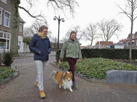 Dames met hun Hondje Dordrecht