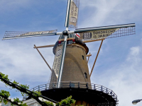 Molen in feeststemming Dordrecht