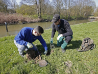 Mollenvangers aan het werk